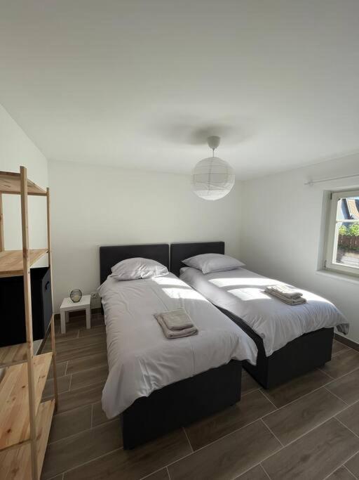 Doux Refuge Avec Terrasse Parking Gratuit Apartment Beblenheim Exterior photo
